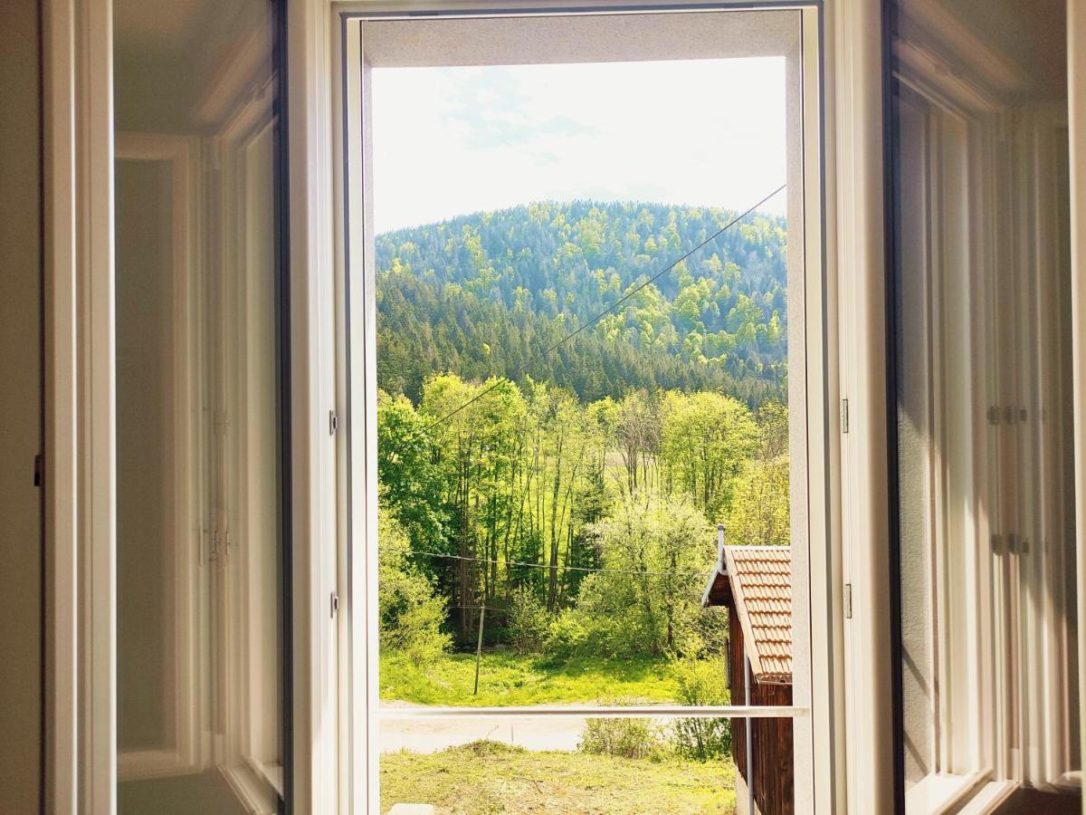 ⁂⁂ Le Grand Duc Appartement Cledicihome / Magnifique Vue Sur Les Montagnes / 4 Kms De Gerardmer ! ⁂⁂ Rochesson Exterior foto